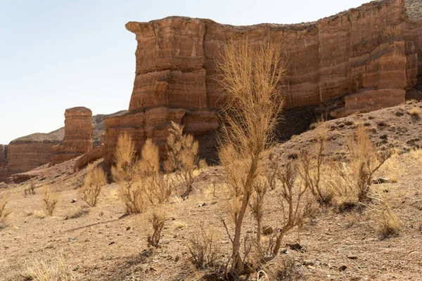 Bellissimo Paesaggio Del Deserto Dei Negev Nel Nord Dello Stato — Foto Stock
