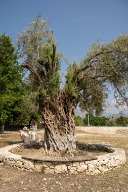 Rhodes, Yunanistan 'daki antik Yunan tapınağı