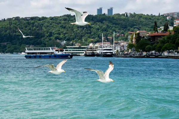 İstanbul 'un Boğaz' daki tekneden görünüşü