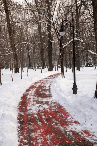 Parkın güzel manzarası