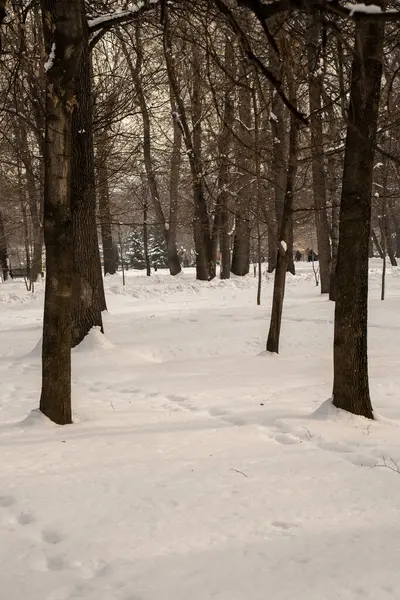 Şehirdeki kış parkı..