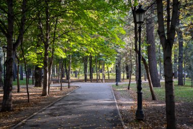 Güzel sonbahar parkı, ağaçlar ve yapraklar
