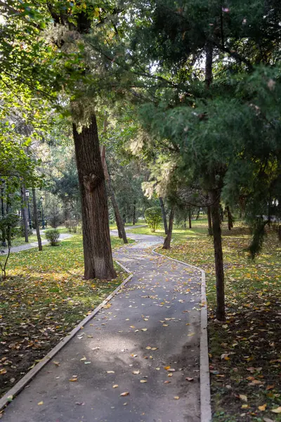 Şehirdeki güzel sonbahar parkı