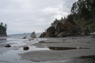 Pasifik Okyanusu kıyısı, Oregon.