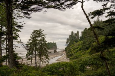 Olimpiyat Ulusal Parkı 'ndan Pasifik Okyanusu manzarası, Washington, ABD