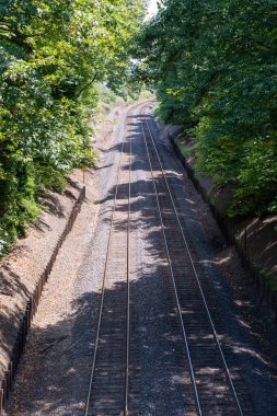 Yeşil yapraklı tren rayları