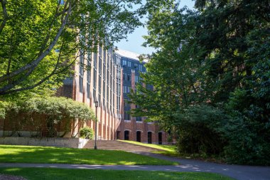 New York şehrinin manzarası