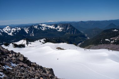 Mount Rainier, Washington Ulusal Parkı.