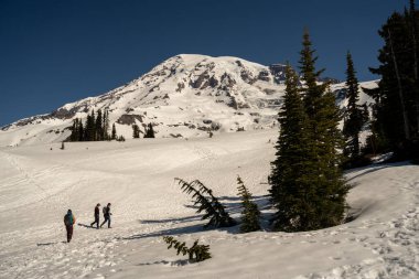 Hood ve Mt. Washington, Washington.