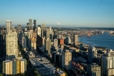 Seattle Skyline ve şehir manzarası yukarıdan