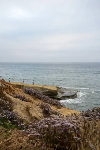 stock image view of the beautiful coast with the sea