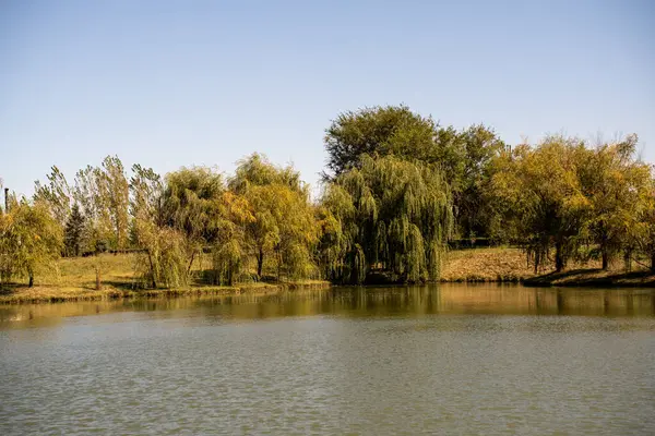 Sonbaharda göl kenarında.