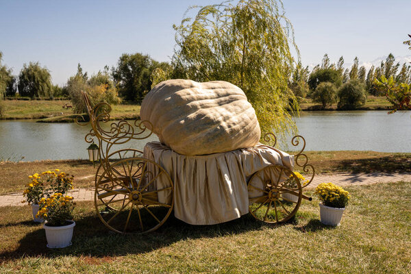 прекрасный вид на природу