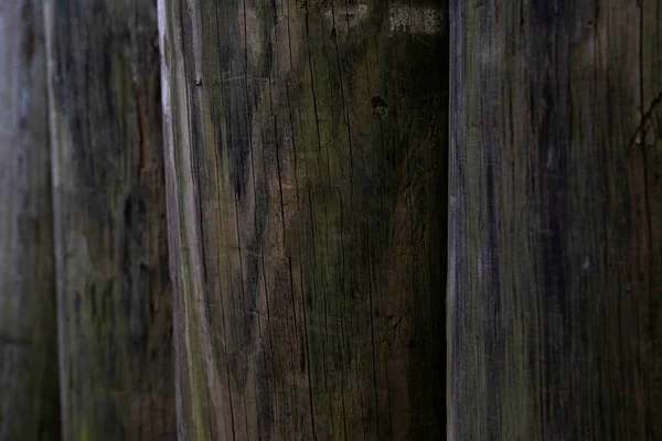 Close Wood Grain Wooden Posts — Stock Photo, Image
