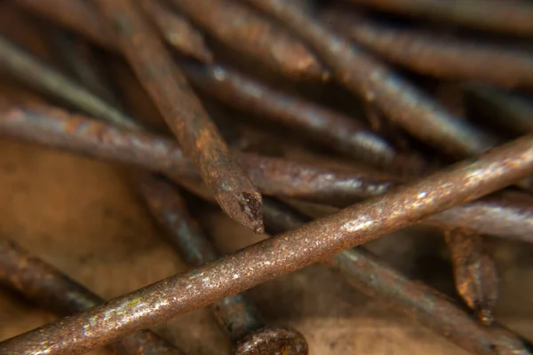 Old Rusty Penny Nails Pile Heavy Penny Nails Construction Carpentry — Stock Photo, Image