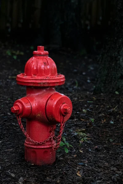 Hidrante Fogo Fundo Escuro Usado Para Bombeiros Para Obter Água — Fotografia de Stock