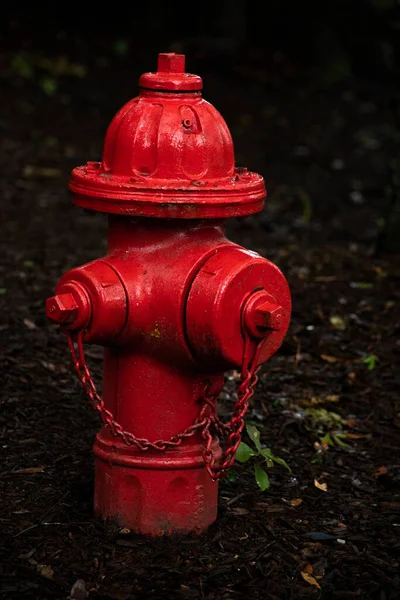 Hydrant Przeciwpożarowy Ciemnym Tle Służący Strażakom Szybkiego Dostarczania Wody Awaryjnego — Zdjęcie stockowe