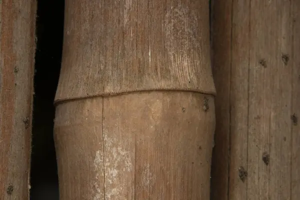 Çit yapımında kullanılan bambu resmini kapat.
