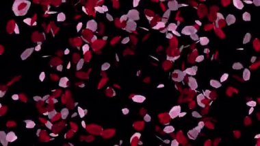 Sevgililer Günü için düşen romantik gül yaprakları, Anneler Günü, evlilik yıldönümü, tebrik kartları davetiyesi ve doğum günü geçmişi.