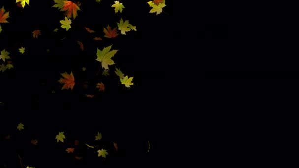 Zeitlupe Realistischer Ahornblätter Filmaufnahmen Der Herbstlandschaft Mit Ahornblättern Ultra — Stockvideo
