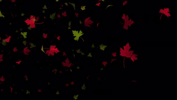 Brush Nature Artistic Animation Maple Leaves Motion Dalam Bahasa Inggris — Stok Video