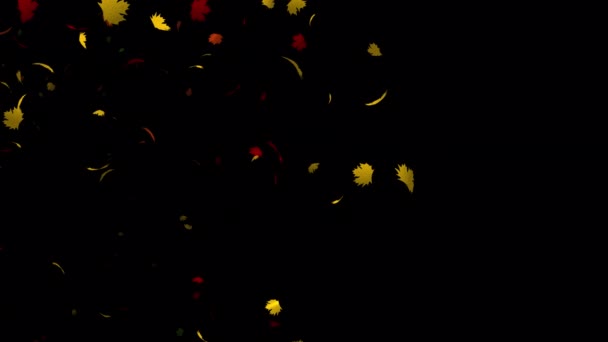Celebrating Animated Charm Floating Maple Leaves Create Romantic Atmosphere Your — Stock Video