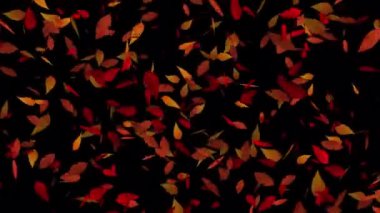 Canlı Yüzen Yaprakların Güzelliği 'nin kilidini açmak. Düğün davetiyelerinize ya da aşk temalı sunumlarınıza yavaş çekim animasyonunun büyüleyici görüntüleriyle romantik bir dokunuş ekleyin..