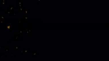 Yüzen Yaprakların Sakinleştirici Etkisini keşfedin. Düğün davetiyelerinize ya da aşk temalı sunumlarınıza yavaş çekim animasyonunun büyüleyici görüntüleriyle romantik bir dokunuş ekleyin. Düşen gerçekçi akçaağaç yaprakları.