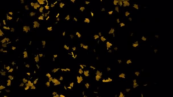 Art Motion Ανακαλύψτε Την Κινούμενη Ομορφιά Των Πλωτών Φύλλων Σφενδάμου — Αρχείο Βίντεο