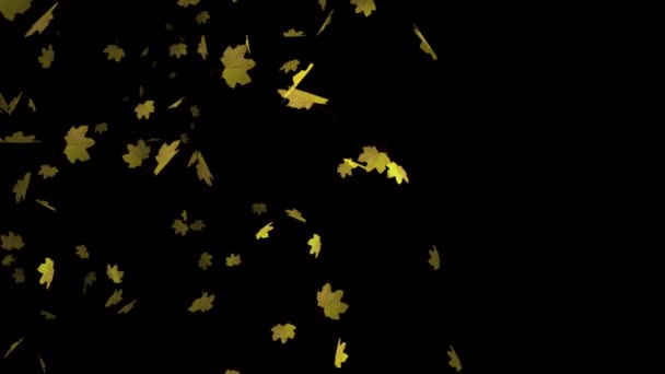 Explore Captivating Animation Floating Maple Leaves Enhance Your Wedding Video — Stock Video