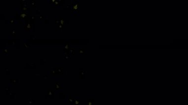 Animasyon Akçaağaç Yapraklarını Dans Eden Şaheserler 'e nasıl dönüştürüyor? Düğün davetiyelerinize ya da aşk temalı sunumlarınıza yavaş çekim animasyonunun büyüleyici görüntüleriyle romantik bir dokunuş ekleyin. Düşen gerçekçi akçaağaç yaprakları.