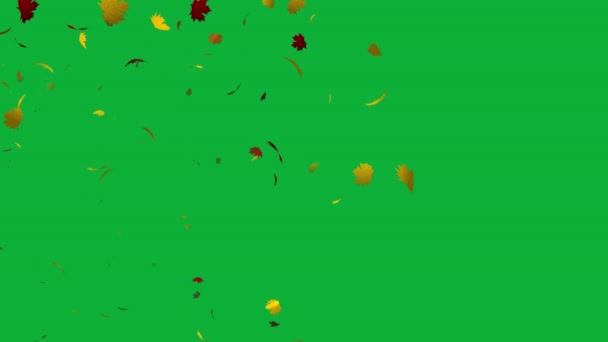 Waltz Wind Enchanting Animation Flying Maple Leaves Green Screen Enhance — Stock Video