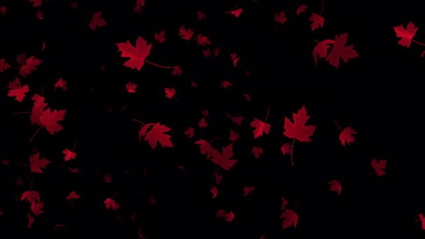 Animated Beauty Maple Leaves Met Transparante Achtergrond Voeg Een Romantische — Stockvideo