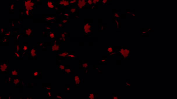 Prachtige Slow Motion Animatie Van Red Maple Leaves Met Alpha — Stockvideo