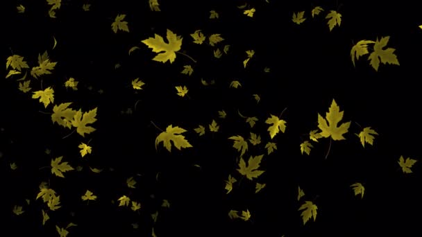Spectacular Visuals Slow Motion Animation Falling Realistic Maple Leaves Inglés — Vídeos de Stock