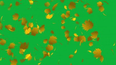 Yeşil Ekranda Düşen Akçaağaç Yaprakları 'nın Güzel Animasyonu. Düğün davetiyelerinize ya da aşk temalı sunumlarınıza yavaş çekim animasyonunun büyüleyici görüntüleriyle romantik bir dokunuş ekleyin. Düşen gerçekçi akçaağaç yaprakları.