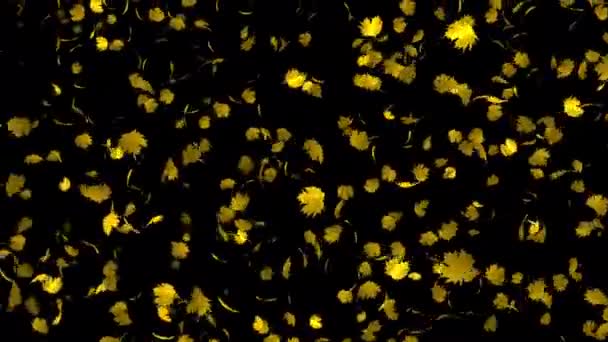 Slow Motion Loop Animation Realistic Yellow Maple Leaves Δημιουργήστε Μια — Αρχείο Βίντεο