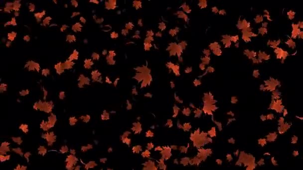 Slow Motion Loop Animatie Van Realistische Sinaasappelesdoornbladeren Voeg Een Romantische — Stockvideo