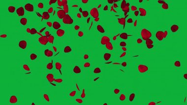 Tutkunun Yaprakları: Sevgililer Günü ve Düğünler İçin Animasyon Güzelliği, Romantik Bir Atmosfer İçin Yaprak Animasyonu