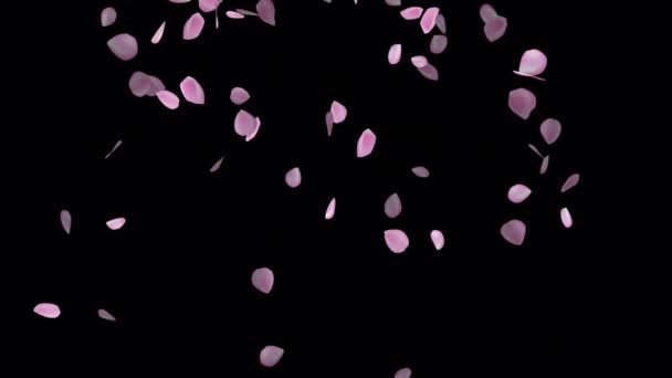 Geanimeerde Bloemblaadjes Voor Een Romantische Ambiance Animaties Voor Gedenkwaardige Vieringen — Stockvideo