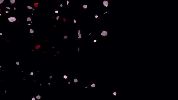 Radiant Romance Animated Petals Memorable Celebrations Magical Petals Animation Love — Stock Video