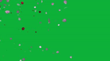 Sevgililer Günü ve Düğünler İçin Taç Yaprakları Animasyonu Aşk ve Kutlama İçin Animasyon Güzelliği, 