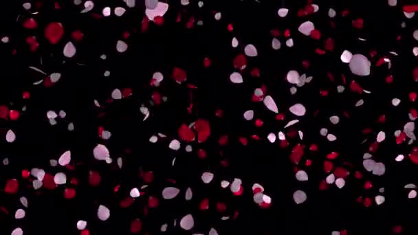 Verliebte Blütenblätter Animierte Freuden Für Valentinstage Und Hochzeitsmomente Blütenblätter Animation — Stockvideo
