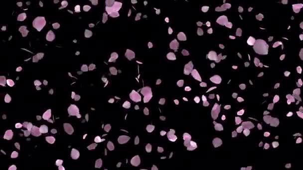 Tanzende Blütenblätter Animierte Schönheit Für Valentinstage Und Hochzeitsfeiern Animationen Für — Stockvideo