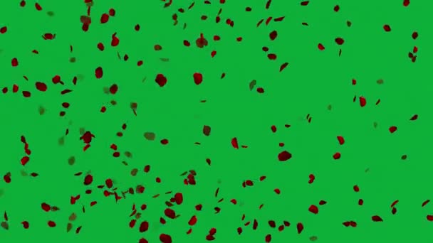 Romantic Petals Motion Creating Enchanting Backgrounds Petals Loop Animation — Stock Video