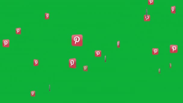 Gör Ett Bestående Intryck Med Pinterest Logo Animation För Ditt — Stockvideo