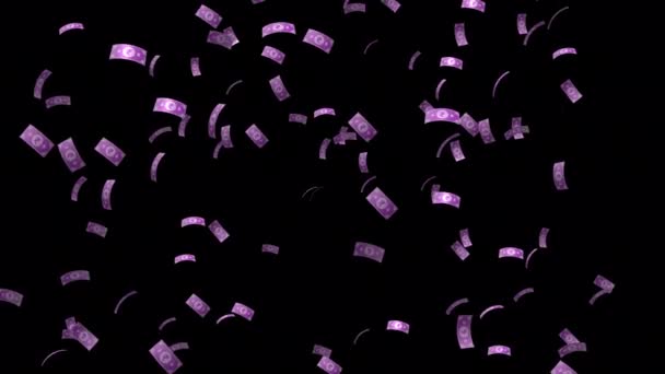 Funken Sie Interesse Ihrem Projekt Mit Einem Skurrilen Fliegenden Währungsleitartikel — Stockvideo