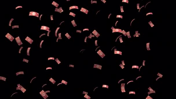 用令人印象深刻的飞弹货币编辑使你的项目显示出来 给你的项目添加一个具有飞弹货币效果的动态元素 — 图库视频影像