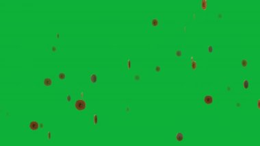 Projeniz için 3 boyutlu madeni para animasyonuyla kıvılcım, Yeşil Ekranda Edebiyat