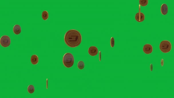 Verbind Publiek Met Een Prachtige Dash Coin Animatie Voor Project — Stockvideo